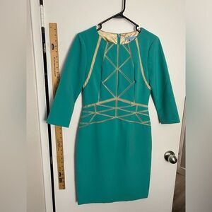 Antonio Melani 3/4 Sleeve Sheath - 4